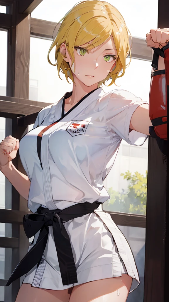 ((((masterpiece, best quality, high resolution)))), Extremely detailed 8K, 1 female, wearing a white Karate gi, (Ultra HD, Ultra-detailed, Highly detailed, Highly realistic, Ultra-realistic, photograph realistic), (1girl:1.5), (Realistic yellow hair), (dynamic poses), facing at camera, looking at viewer, (slightly serious face), (green eyes, sharp eyes), (perky breasts:1.2), (beautiful detailed face, beautiful detailed eyes), ((worn out karate gi)), (preparing for a fight), sweat, glow, (sunbeam, sunlight), ((cowboy shot)), inside a training gym, seductive, EnvyBetterHands LoCon,