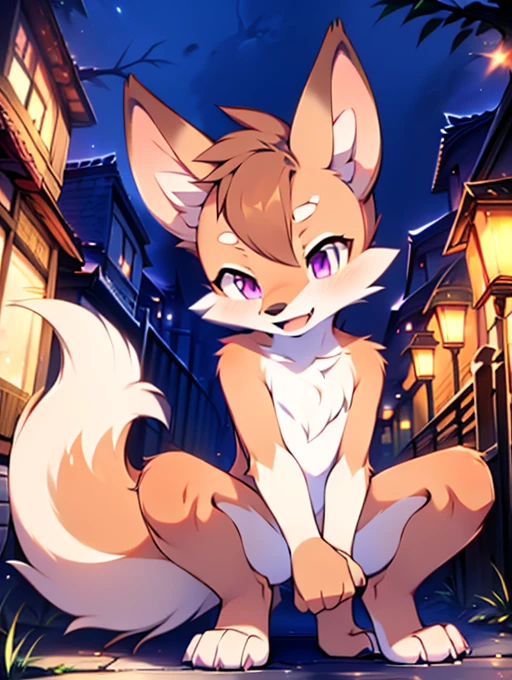 fox, **********, cute, (alone), (((Has brown and white fur))), Big purple eyes, Blushing, smile, Open your mouth, walking, night, Ancient Asian cities, bright street lights, Blue and black slate road, Empty Streets, Starry Sky, Shadow, Detailed facial depiction, ((Accurate hand drawing)), レンブラントの光とShadow, Ultra-fine，high resolution，Completely naked，Naked，Naked，Full nudity，Nude，Barely，Fully visible，Spread your legs and point your crotch，Embarrassing，Embarrassed look，On all fours，Put your hands and feet on the ground，Sit like a dog，quadruped，Accurate hand and foot count，shame，A furry in heat，first round，Fantasy，Anime-style depiction，Male furry，