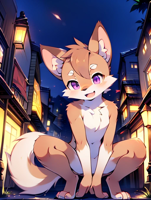 Cat, **********, cute, (alone), (((Has brown and white fur))), Big purple eyes, Blushing, smile, Open your mouth, walking, night, Ancient Asian cities, bright street lights, Blue and black slate road, Empty Streets, Starry Sky, Shadow, Detailed facial depiction, ((Accurate hand drawing)), レンブラントの光とShadow, Ultra-fine，high resolution，Completely naked，Naked，Naked，Full nudity，Nude，Barely，Fully visible，Spread your legs and point your crotch，Embarrassing，Embarrassed look，On all fours，Put your hands and feet on the ground，Sit like a dog，quadruped，Accurate hand and foot count，shame，A furry in heat，first round，Fantasy，Anime-style depiction，Male furry，