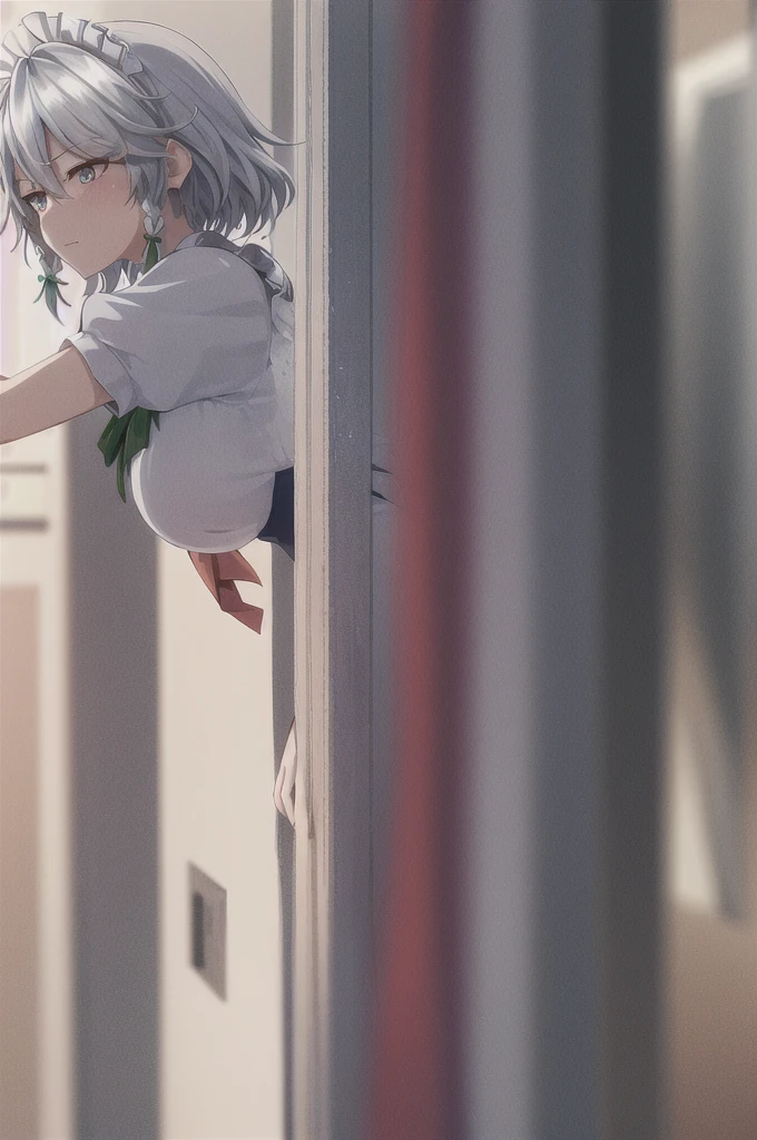 Sakuya Izayoi looking stressed as part of her head is turning into Reimu Hakurei's. Reimu's head would be with brown hair, brown eyes. So Sakuya's head would have one blue eye, and one brown eye, as part of her hair remains silver, but the other is turning brown