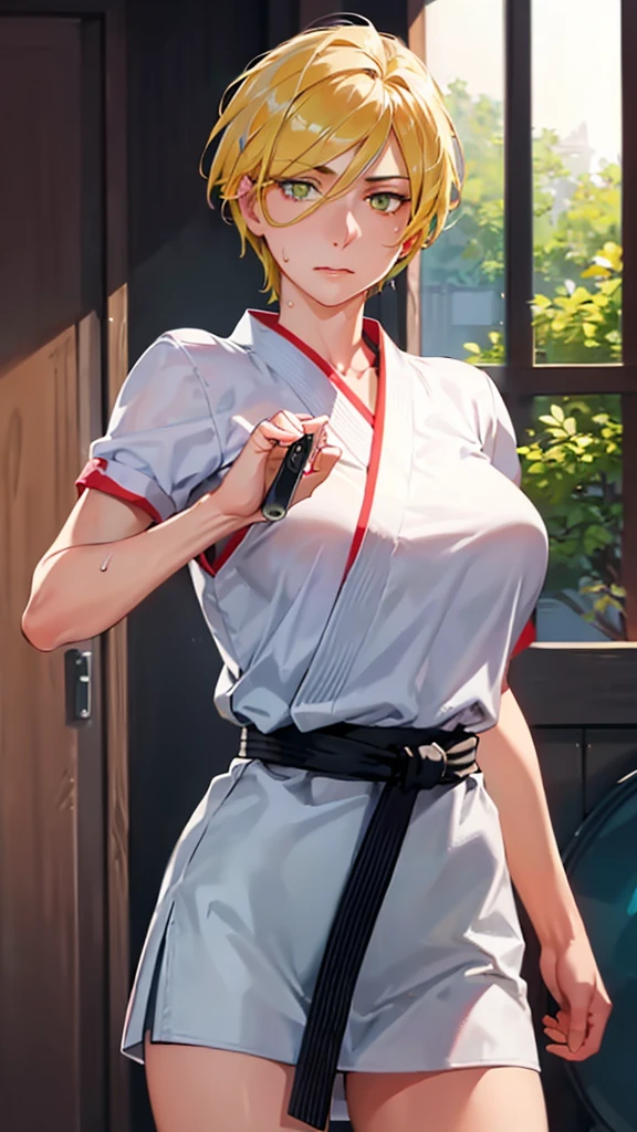 ((((masterpiece, best quality, high resolution)))), Extremely detailed 8K, 1 female, wearing a white Karate gi, (Ultra HD, Ultra-detailed, Highly detailed, Highly realistic, Ultra-realistic, photograph realistic), (1girl:1.5), (Realistic yellow hair), (dynamic poses), facing at camera, looking at viewer, (slightly serious face), (green eyes, sharp eyes), (perky breasts:1.2), (beautiful detailed face, beautiful detailed eyes), ((worn out karate gi)), (preparing for a fight), sweat, glow, (sunbeam, sunlight), ((cowboy shot)), inside a training gym, seductive, EnvyBetterHands LoCon,