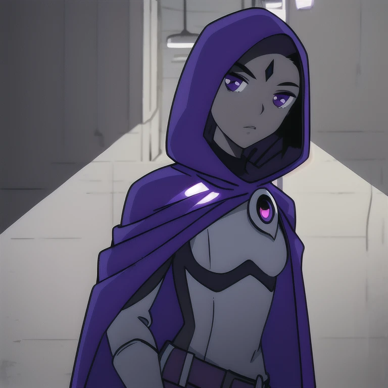 score_9, score_8_up, score_7_up, volumetric lighting,
white raven, 1girl, solo, short hair, purple hair, hood, cape, colored skin, cloak, grey skin, forehead jewel
