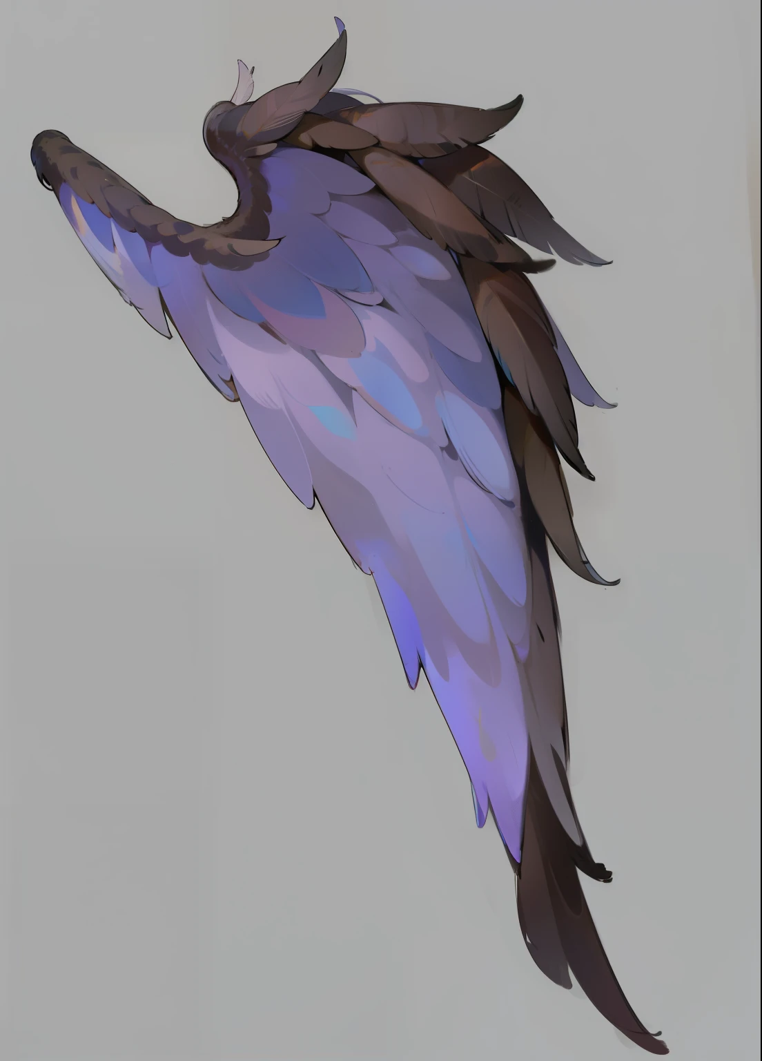 Feather wing material hair texture feather detail HD