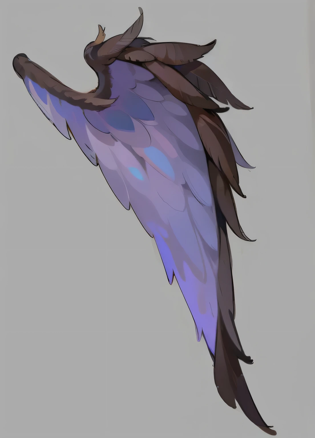 Feather wing material hair texture feather detail HD