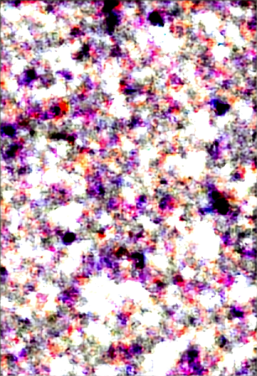 Black Hair、Black Feather、Gothic punk dress、Legs sticking out，Sit on a chair, Crossing your legs、Throne,anime zombie witch design, Crossbones, skull, Streetwear Design, Provector, Horror Style, Full Design, Only 6 colors, Solid Colors, No Shadow, Full Design, Stickers, Bright colors, White Background.Ultra-fine illustrations,(((Beautiful fine hair))),(((Beautiful Faces))),(((Beautiful background))),(((Beautiful fine hair))),(((Beautiful Faces))),(((Beautiful background)))、Black Hair、Blunt bangs，Undershot（（Right hand white eye，Left eye purple）），Otto Eyes