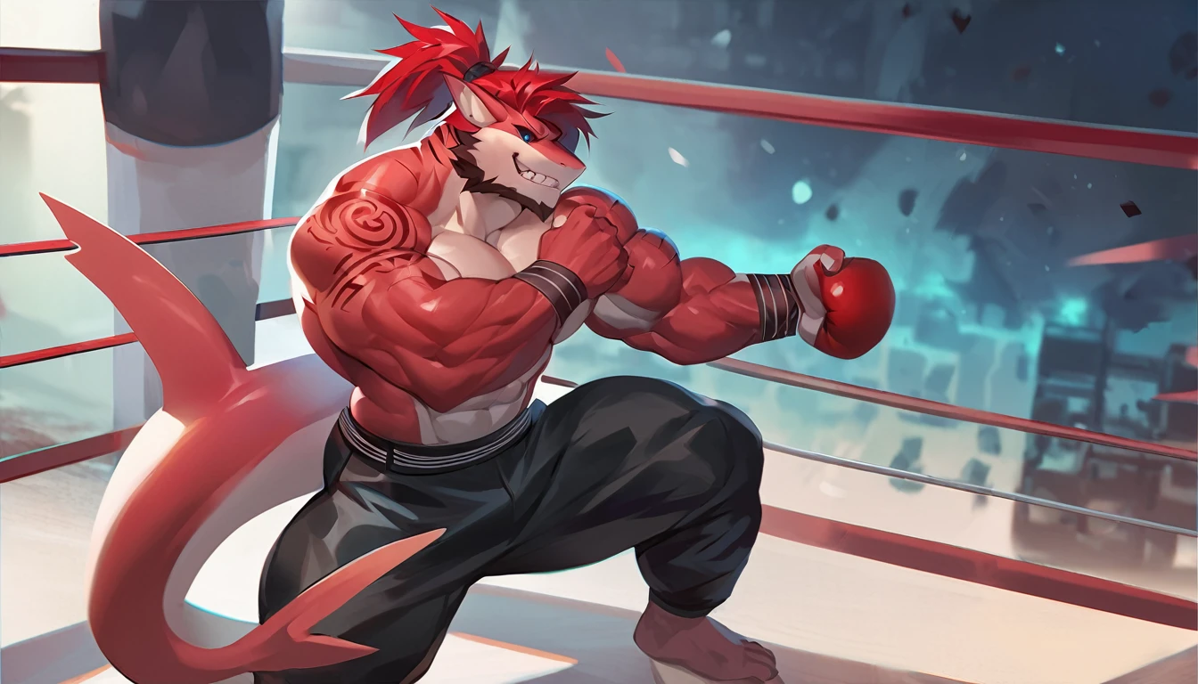 bright red colored bara shark, white countershade, red skin, huge plump pecs, strong physique, tribal tattoos, scarlet samurai hair in ponytail, cyan colored eyes, black sclera, very muscular, perfect anatomy, scars on body, full body view in frame, masterpiece, sexy pose, manly pose, beard, strong jaw, thick thighs, giant biceps, muscular, shark tail, grin, amazing shading, full body, detailed hands, detailed eyes, detailed face, detailed arms,anthro, muscular, abs, (detailed:1.5), male, detailed background, by bozi, wearing leather jacket and jeans, in boxing stance, hand wraps, abstract background