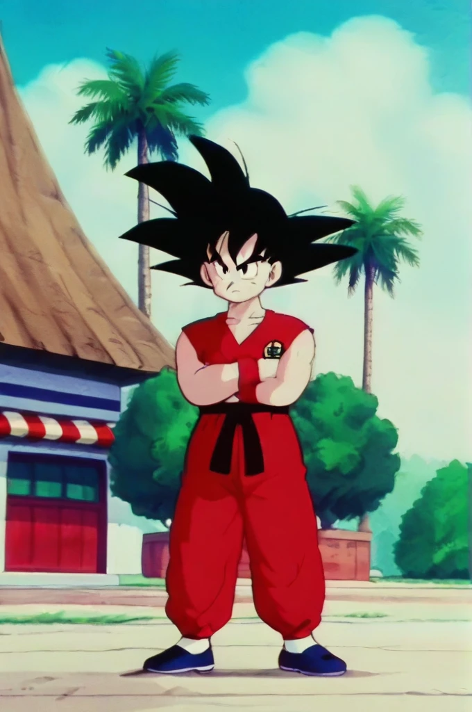 source_anime, score_9, score_8_up, score_7_up, anime screencap,8k, absurd res, 
son goku, aged up, solo, shirt, black hair, 1boy, collarbone, full body, male focus, outdoors, sky, sleeveless, day, cloud, black eyes, tree, blue sky, frown, cloudy sky, spiked hair, (red topwear), serious, palm tree, symbol, print topwear, eyebrows, clothes writing, 1980s \(style\), Furious 
