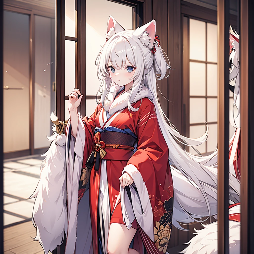 beautiful furry kimono, in wardrobe, no people