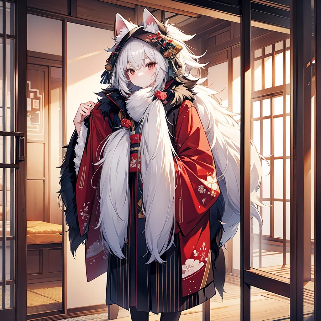 beautiful furry kimono, in wardrobe, no people 