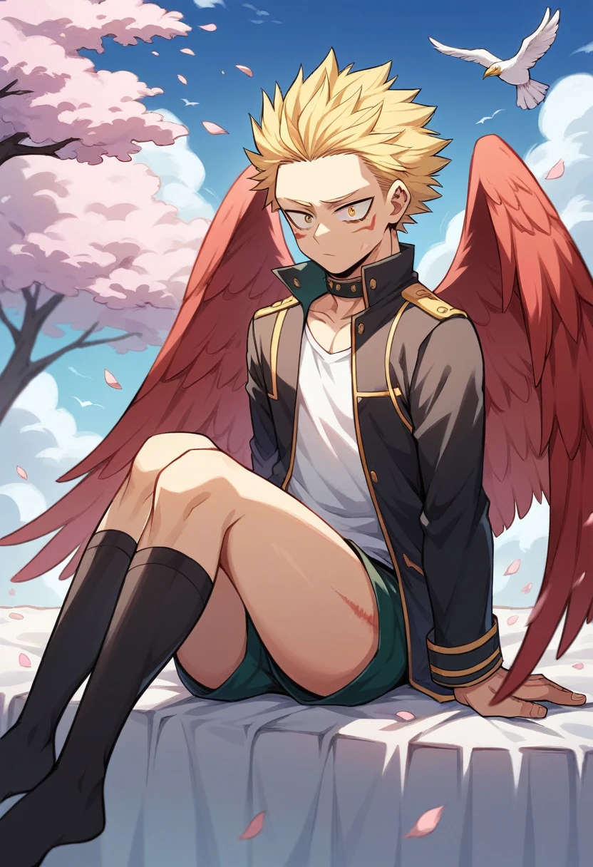 only, boy blonde hair slicked back, some front strands, golden eyes and triangular marks under his tear ducts like a bird, dress with short sleeveless long collar shirt, dark jacket with fluffy hood falling off her shoulders, short pants, long dark thigh high stockings, red wings on his back, sitting on his knees on a blanket, with cherry blossoms, Boku no hero academia, Hawks