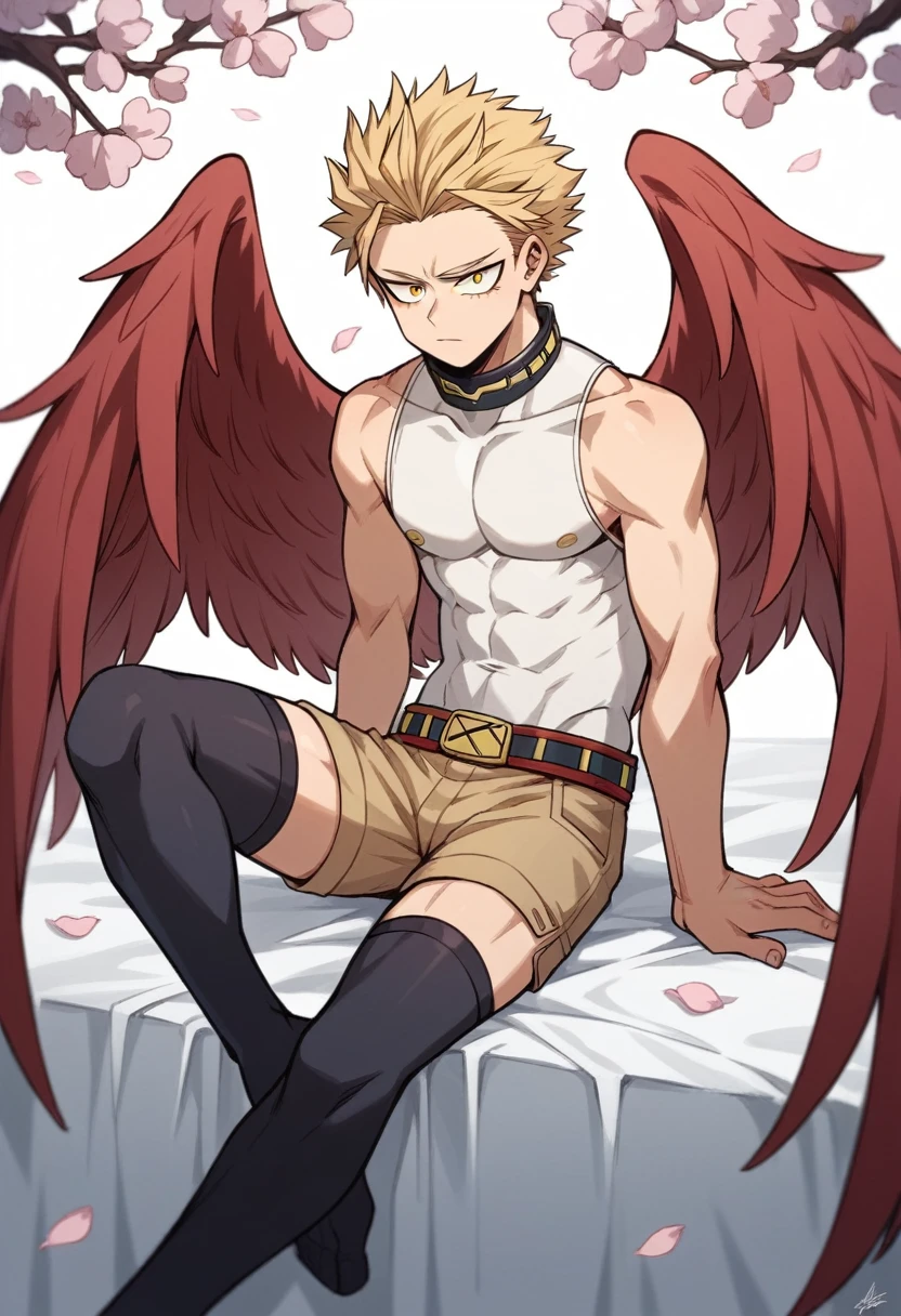 masterpiece,1boy,solo,male focus,hawks,nipples,smile,wings,sitting <lora:hawks-06:0.7>