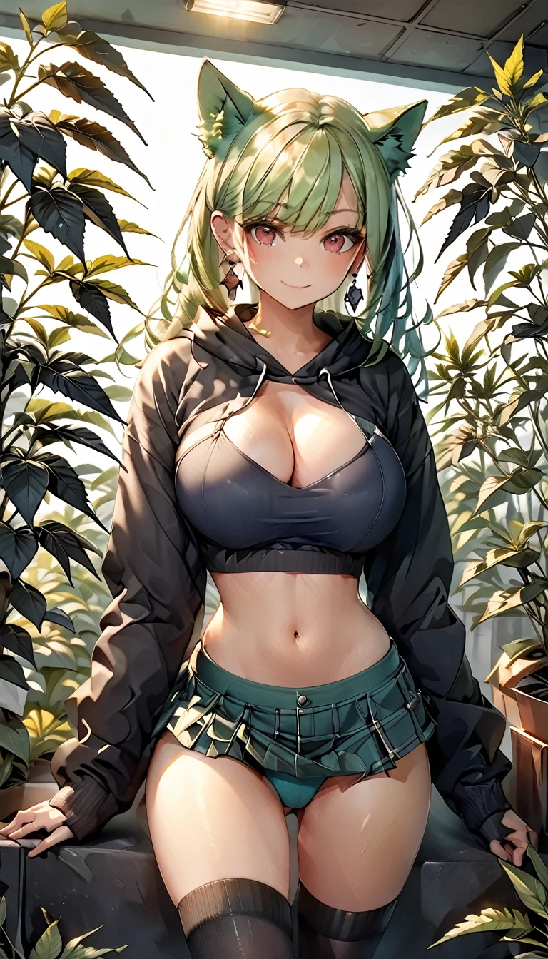 , Croped, , cleavage, slim waist, cropped hoodie underboob, cropped hoodieunderboobhoodie, 1girl, 2 wolf ears, wolf tail, marijuana crop hoodie, crop shorts, marijuana hoodie, spiky hair, spiky fur, green hair, red eyes,marijuana field, tight clothes, perfect eyes, perfect hands, clear resolution, full body, cleavage skin, marijuana plants, open hoodie, marijuana scenery, black thigh high socks, full body, earrings, 1girl, skirt, cleavage, slim waist, cleavage, slim waist, hair pulled back, big breast, round butt, slim waist