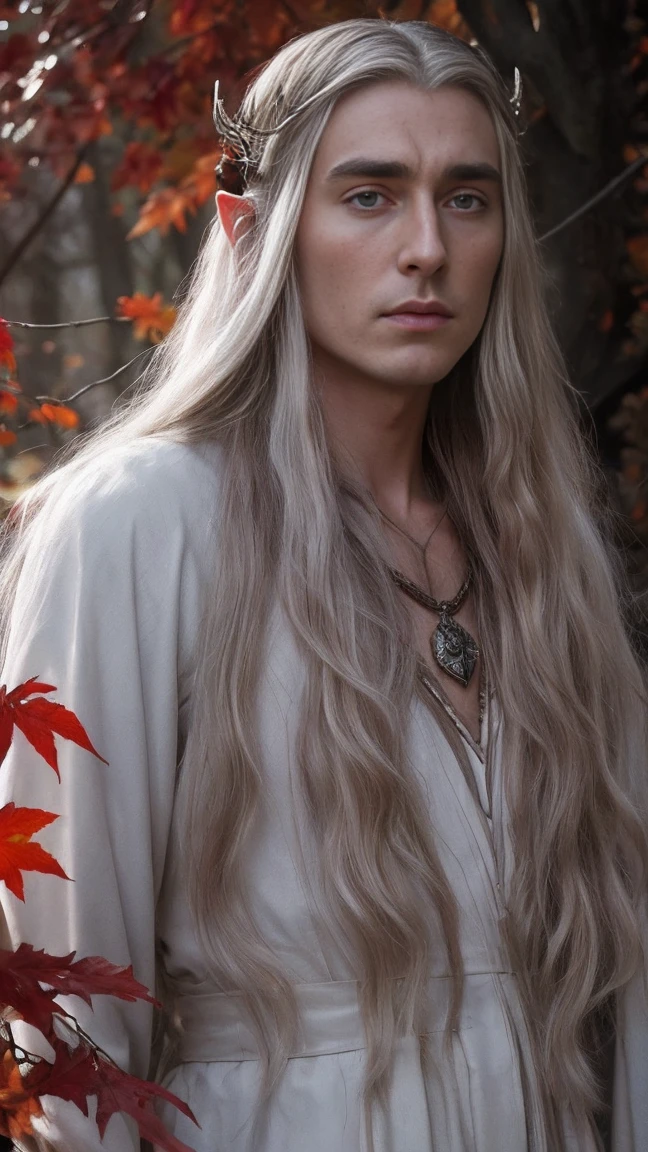 thranduil, king of the wood elves, crown of red berries and autumn leaves, white wavy very long hair, cinematic, with Mirkwood in the background, magical atmosphere, silver pollen, glow, glare