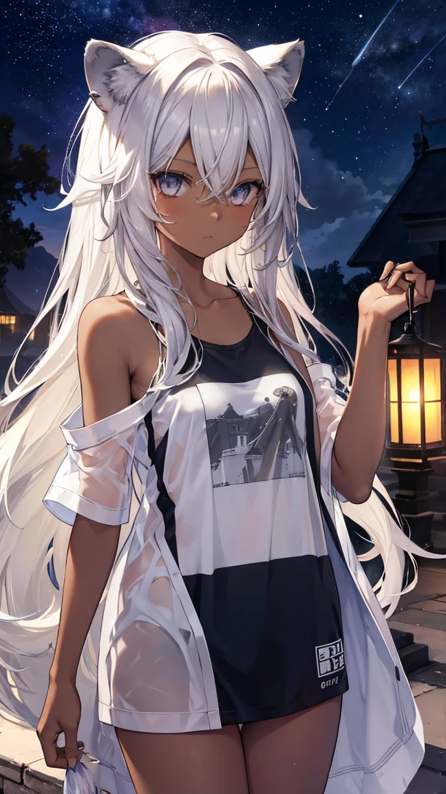 High resolution、Girl、Silver Hair、Long Hair,(Brown skin,Dark Skin,Sunburn),Lion ears、Grey Eyes、Slender、Toned body、Naked T-shirt,Lantern,Starry Sky,Mansion,Put out your right shoulder,