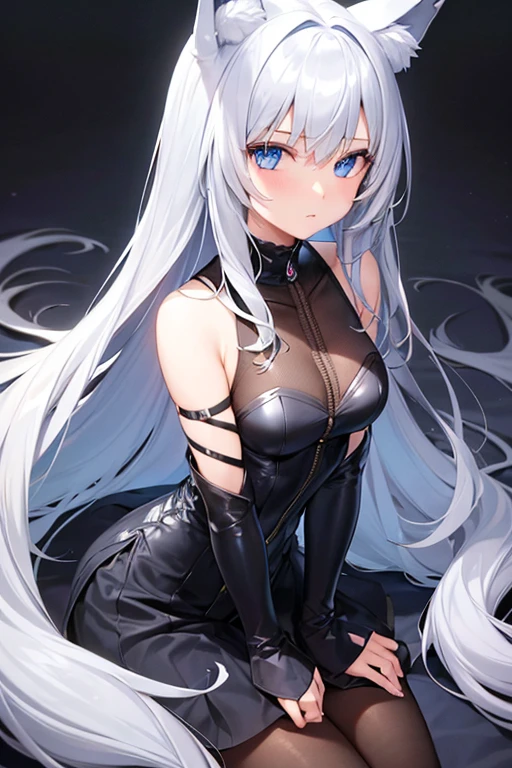 One girl, Blue Eyes Silver Hair Wolf Ears Wolf's Tail hoodie