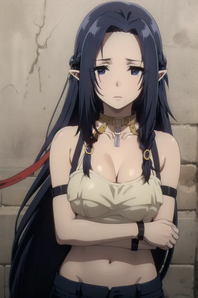 ((collar,leash,tied up,bondage,scared expression)),black hair,black eyes,((shorts,top-tank)),dark blue hair,,long hair,blue eyes,pointy ears,elf,