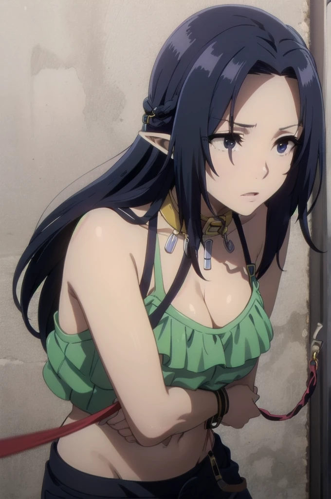 ((collar,leash,tied up,bondage,scared expression)),black hair,black eyes,((shorts,top-tank)),dark blue hair,,long hair,blue eyes,pointy ears,elf,
