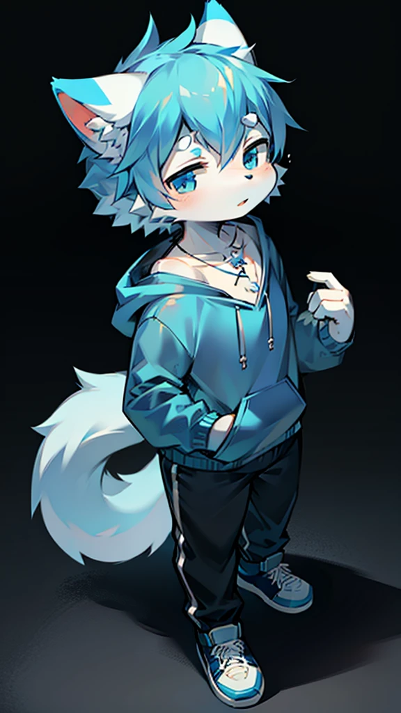 Anime furry, light blue and white fur, blue hair with white accents, cat style, kemono style, 2D anime style wearing blue sweatshirt and black sneakers with white line pattern, wearing a light blue hoodie over a black shirt, with a small square pendant necklace, Single character full body, 2 d style, full body adoptable, full body single character, 2d anime, full body portrait of a short!, full body character, anime style character, Anime boy.