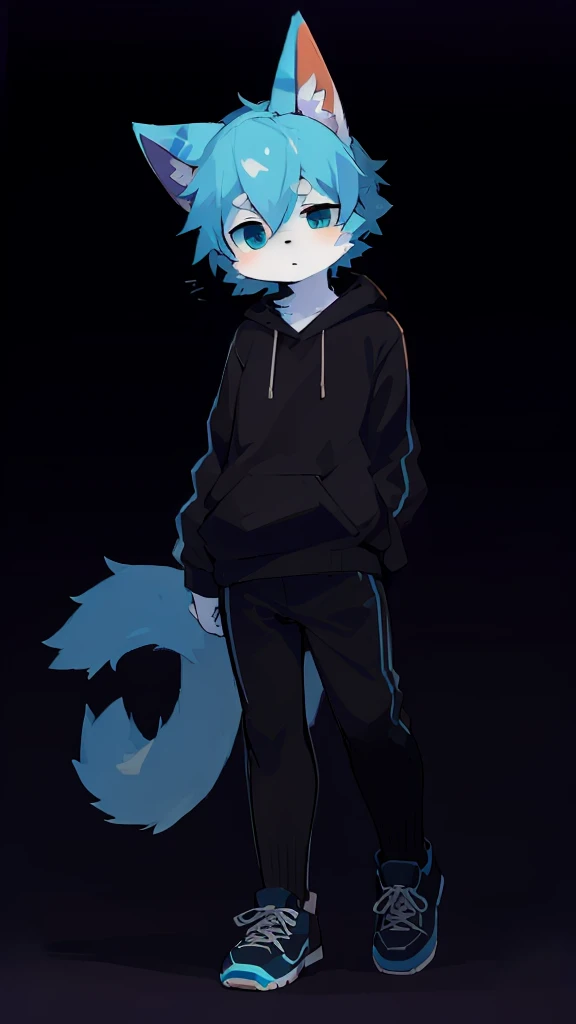 Anime furry, light blue and white fur, blue hair with white accents, cat style, kemono style, 2D anime style wearing blue sweatshirt and black sneakers with white line pattern, wearing a light blue hoodie over a black shirt, with a small square pendant necklace, Single character full body, 2 d style, full body adoptable, full body single character, 2d anime, full body portrait of a short!, full body character, anime style character, Anime boy.