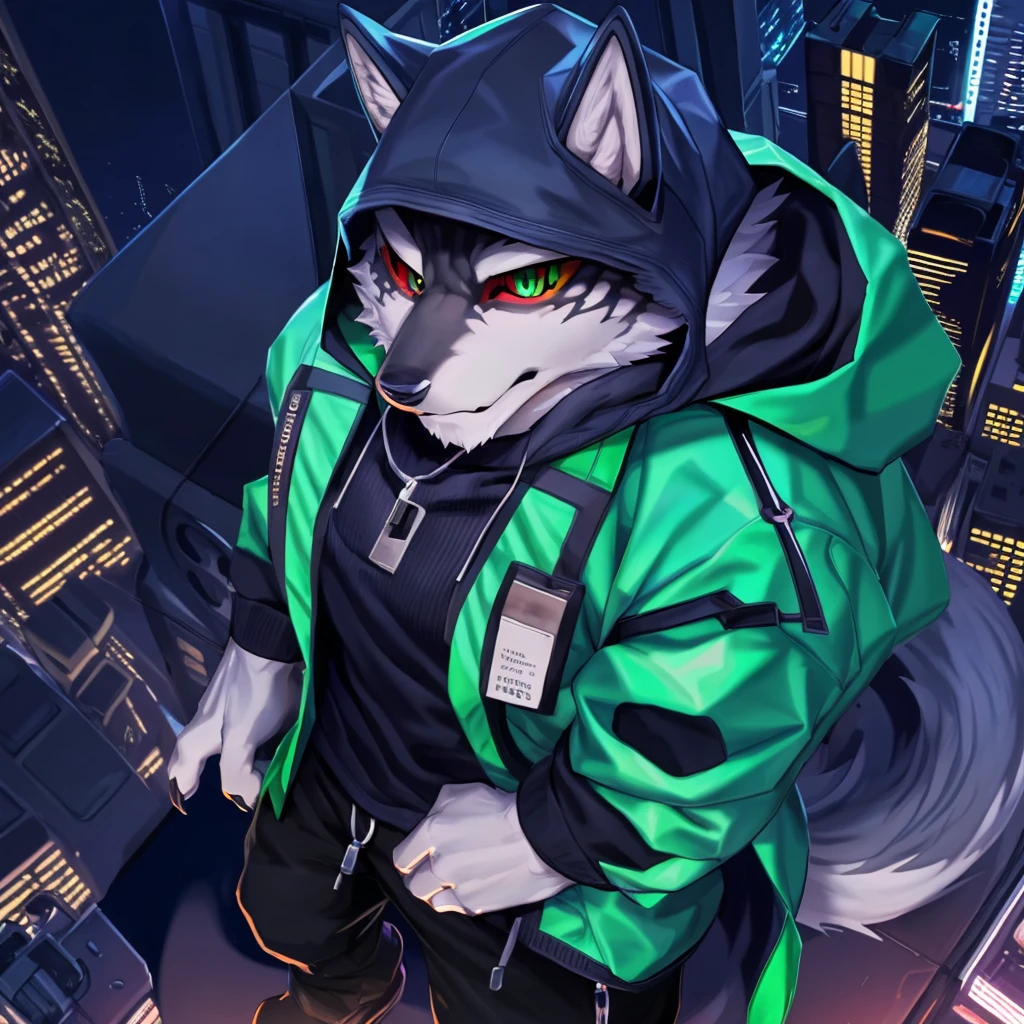 monomasa, furry, male, solo focus, wolf, tail, by kiyosan, by yupa, by Pino Daeni, (by null-ghost:0.8), (by drks:0.2), white hooded coat, hood up, pants, detailed eyes, black pupils, green eyes, red sclera, (yellow eyeshadow:0.8), cityscape, night, high-angle view, close-up, 