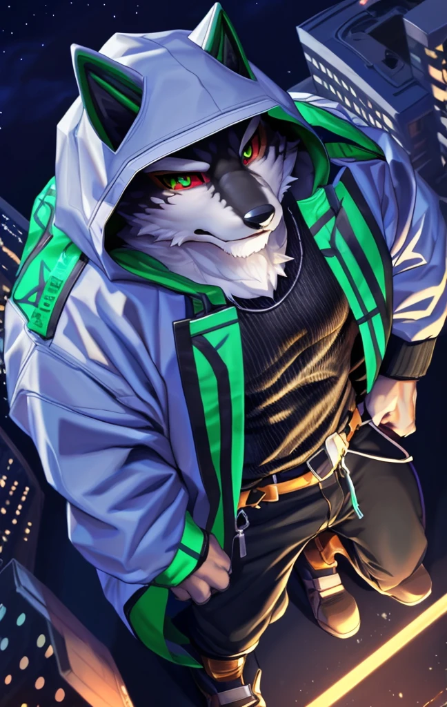 monomasa, furry, male, solo focus, wolf, tail, by kiyosan, by yupa, by Pino Daeni, (by null-ghost:0.8), (by drks:0.2), white hooded coat, hood up, pants, detailed eyes, black pupils, green eyes, red sclera, (yellow eyeshadow:0.8),  night, high-angle view, close-up, 