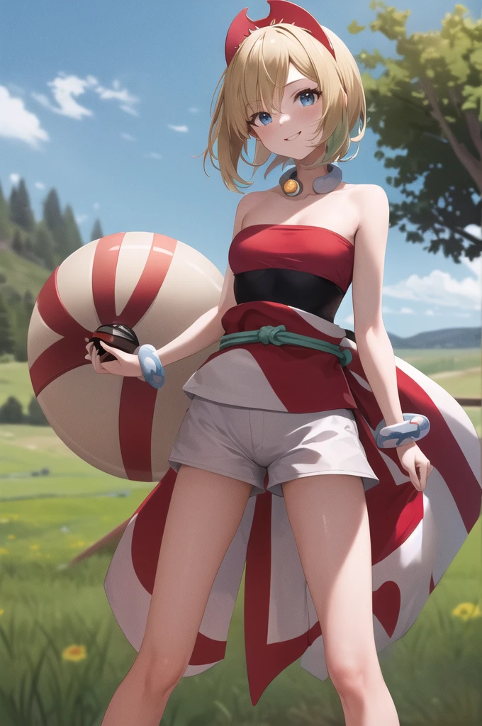 masterpiece, best quality, highres, aairida, short hair, red hairband, neck ring, collar, strapless shirt, red shirt, bracelet, sash, waist cape, white shorts, bare legs, standing, cowboy shot, outdoors, field, holding poke ball, poke ball, smile,
nsfw,vaginal,sex