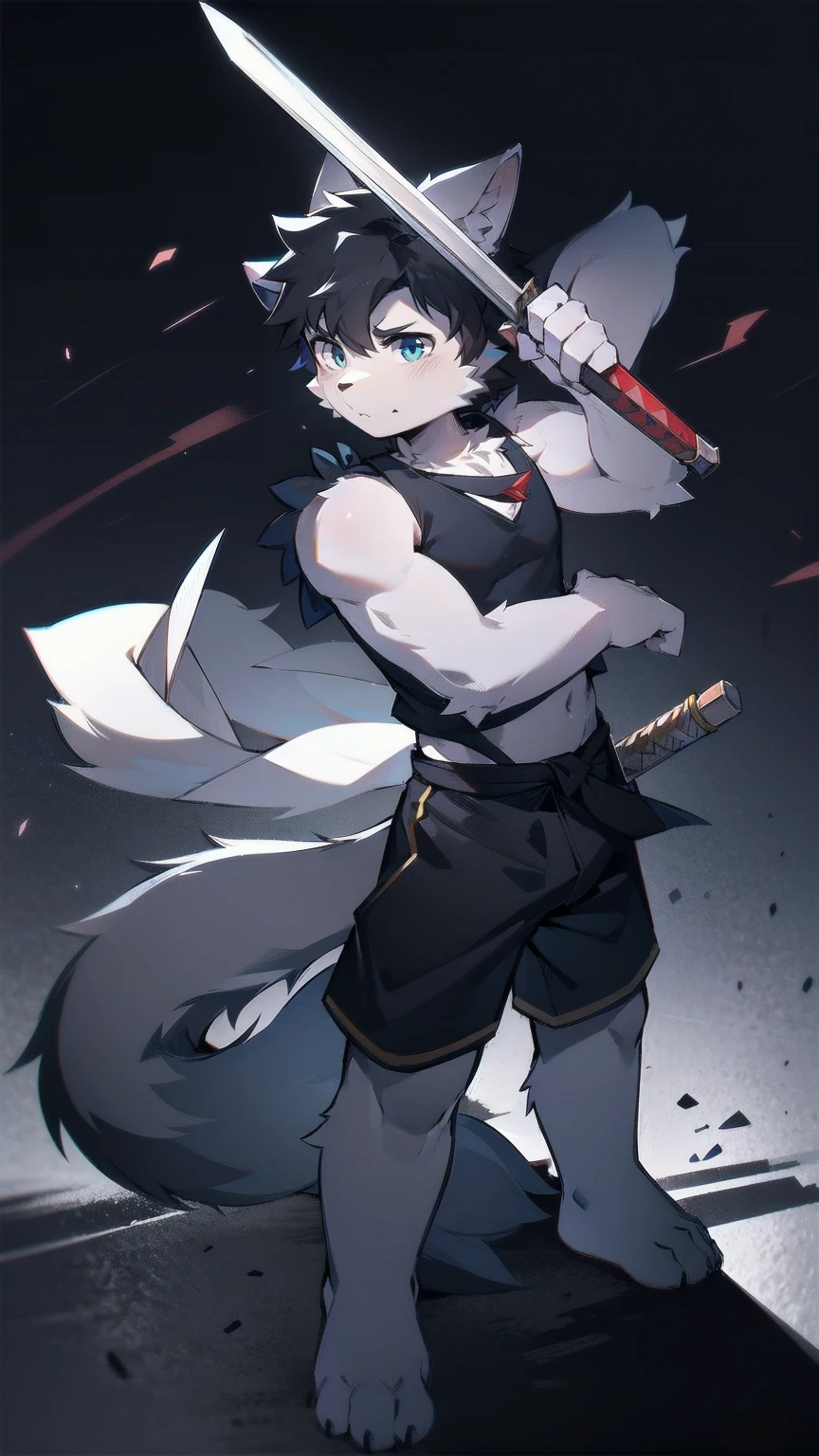 White Wolf，black hair，Sky blue eyes，hairy，Wolf ears，Wolf tail，Full body portrait，The character is in the center of the frame，Handsome，Confident eyes，male，juvenile，Black and white combat uniform，Red neck bib，Black shorts，Short sleeve，hairy arms and legs，Dark background，Dark battlefield，dawn，sunrise，dawn，illumination，shadow，Swordsman，Scabbard and sword，Hold the hilt of a sword in your hand，The scabbard is at the waist，Highest quality