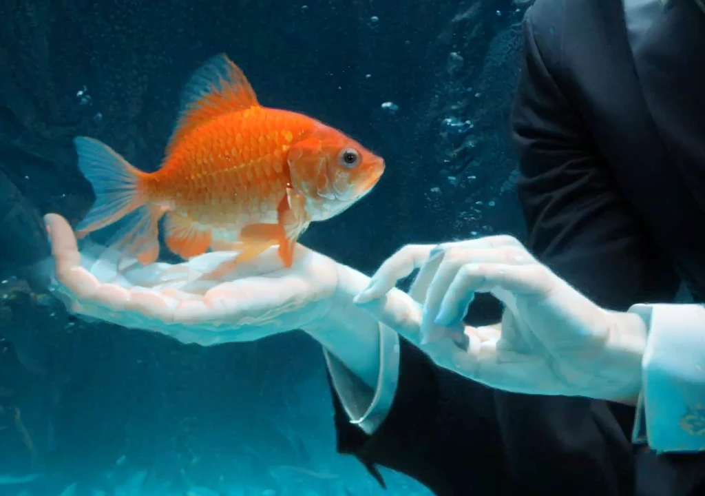 Powerful male hands underwater, with goldfish, cinematic lighting, unreal engine, trending on ArtStation, intricate details, masterpiece, best quality, by Irakli Nadar, Greg Rutkowski,(((best quality))),(((ultra detailed))),(((masterpiece)))