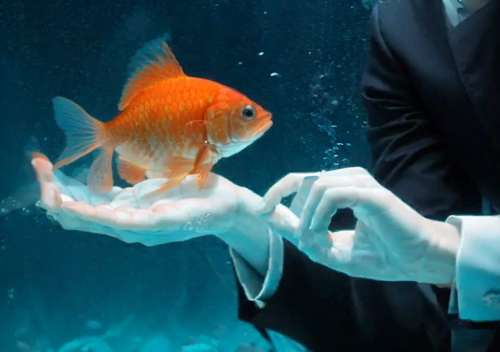 Powerful male hands underwater, with goldfish, cinematic lighting, unreal engine, trending on ArtStation, intricate details, masterpiece, best quality, by Irakli Nadar, Greg Rutkowski，(((best quality))),(((ultra detailed))),(((masterpiece)))