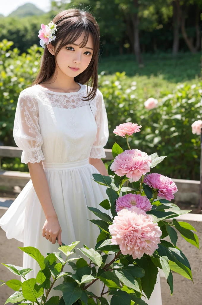 Nishino Flower