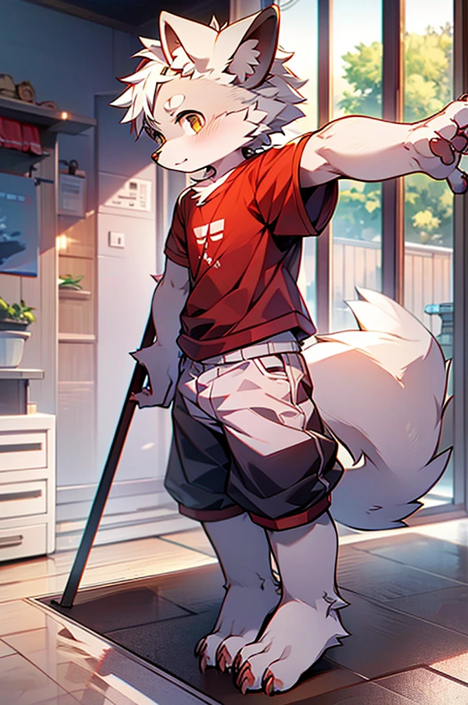 shaggy,grey fur,male people,canid,arctic fox,solo person,sharp talons,Detailed fur,Golden eyes,Thick eyebrows,Fluffy tail,red short sleeves,short white pants,ultra - detailed:1.0,Libido boy,ddlers,(Via Dagasi:1.1),anatomy correct,Red Claw,Bare claws,Barefoot paws,Barefoot paws,standing on your feet,attention