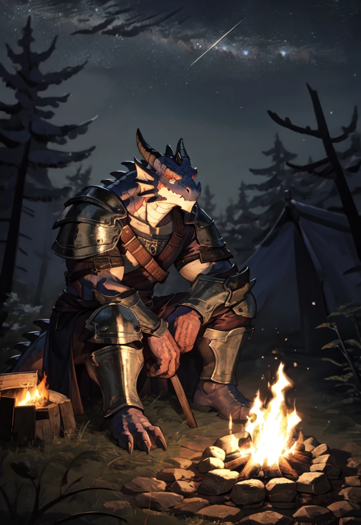 solo, kemono, (dragon), anthro, male, ((black body)), scales, tail, muscles, handsome, armor, medieval, fantasy, outdoors, outside, dark, night, forest, campfire, camp, stars, sitting, toe claws, epic, depth of field, perfect lighting, (light particles),(best quality),(masterpiece),(ultra detailed),sharp focus,light particles