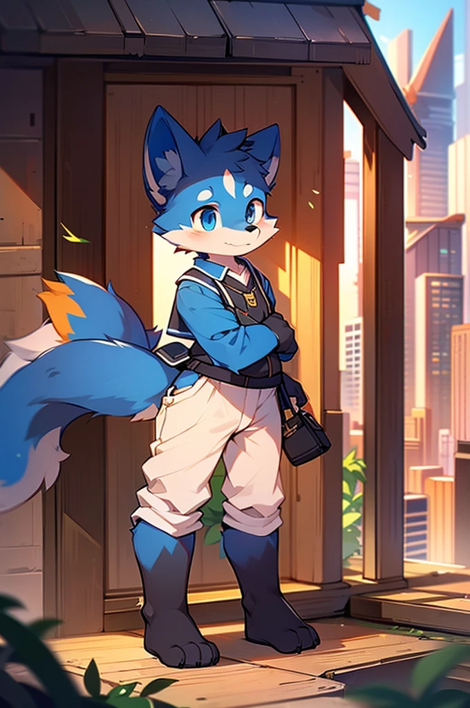 Blue fur, Canine, fox motif, boy, uniform,expensive,one person,Stand up on your own feet,Expensive,Cityscape,thin tail,Front face,