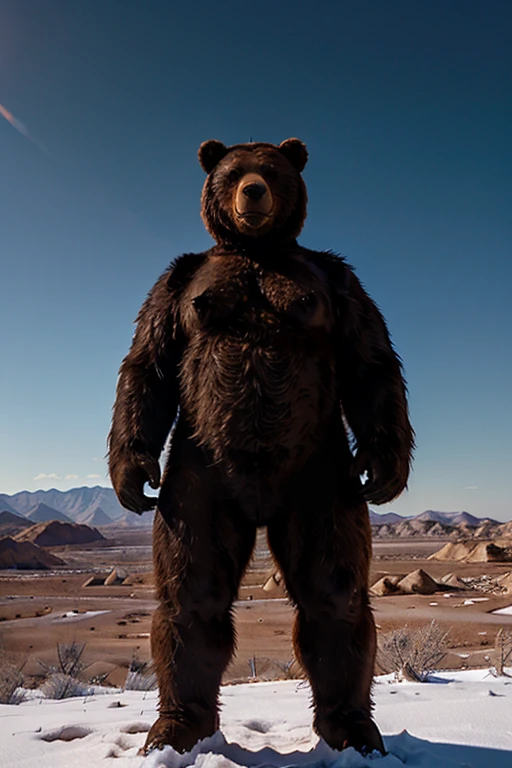 ((A humanoid bear is standing looking up)), frozen ground and desert scenery, no trees there are no plants on this planet.