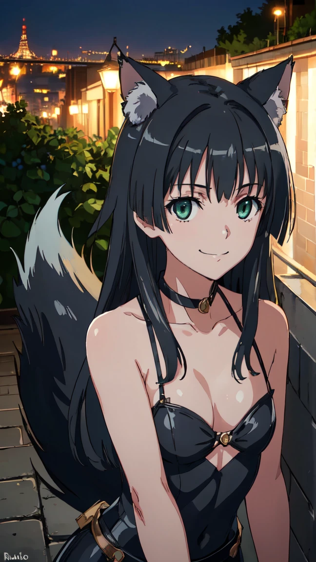  (High resolution:1.4), (masutepiece:1.2), (High quality:1.3) 1girl, saten ruiko, green eyes, long hair, black hair, small breast, dangerousbeast, wolf tail,  cinematic lighting,  pov, smile
