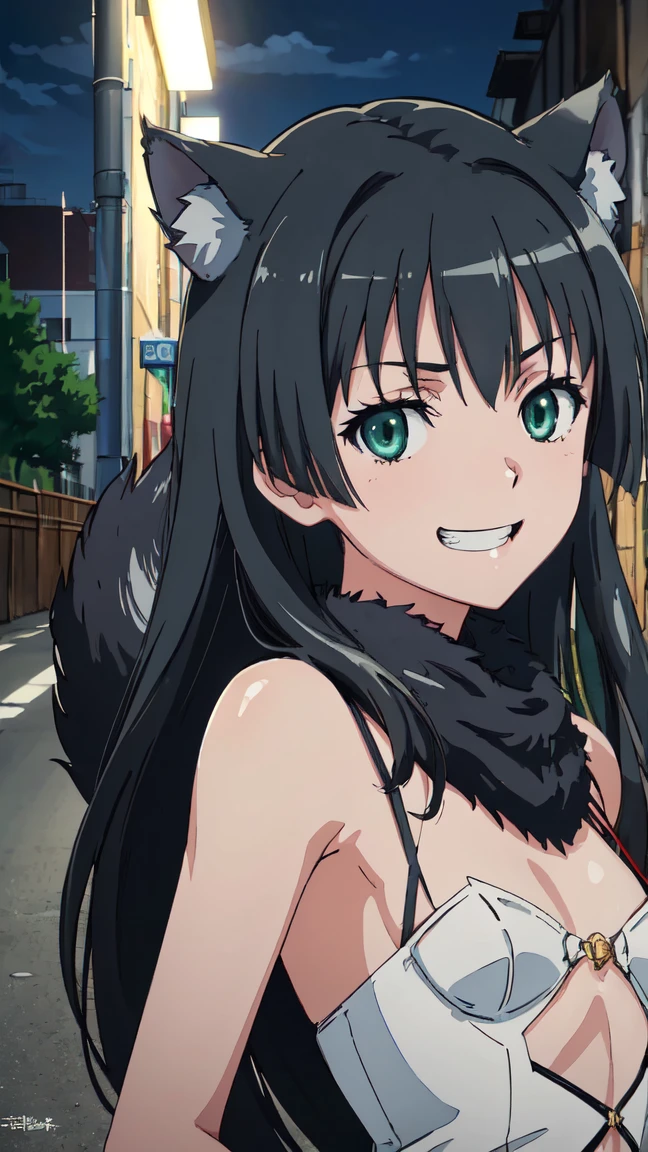  (High resolution:1.4), (masutepiece:1.2), (High quality:1.3) 1girl, saten ruiko, green eyes, long hair, black hair, small breast, dangerousbeast, wolf tail,  cinematic lighting,  pov, grin