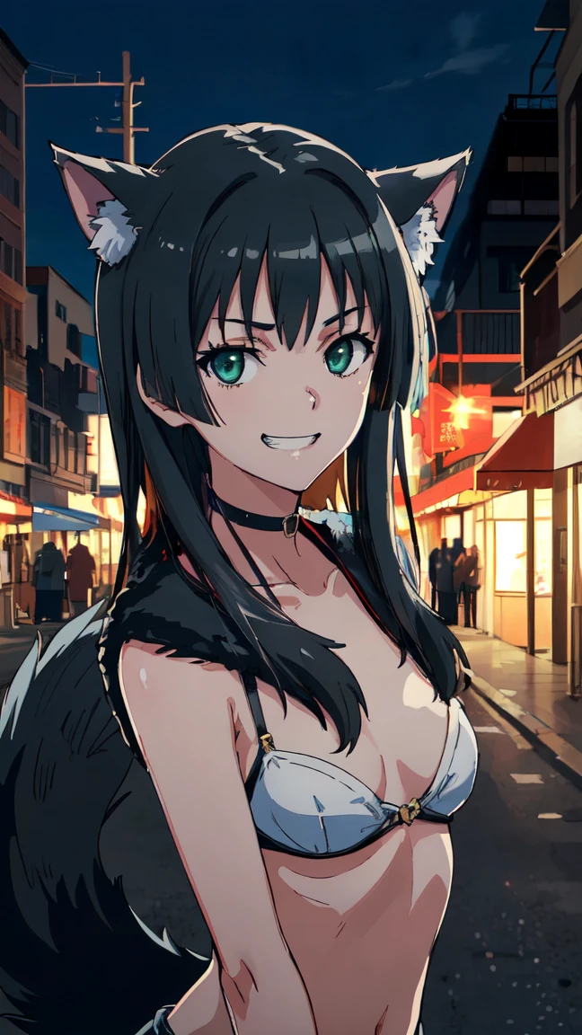 (High resolution:1.4), (masutepiece:1.2), (High quality:1.3) 1girl, saten ruiko, green eyes, long hair, black hair, small breast, dangerousbeast, wolf tail, cinematic lighting, pov, grin