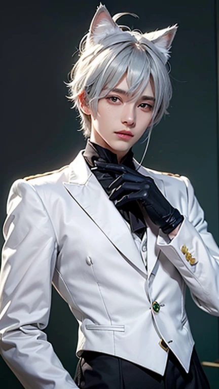 cat boy, cat ear, cat tail, cat eyes, silk hat,
1boy, Emerald green eyes, Silver hair, white hair, streaked hair, gloves, top hat, white gloves, blue headwear, ahoge, black gloves, long sleeves, ascot, jewelry, brooch, black headwear, frills, white hair, streaked hair, gloves, hat, white gloves, blue headwear, ahoge, black gloves, long sleeves, ascot, jewelry, brooch, black headwear, frills, 1boy