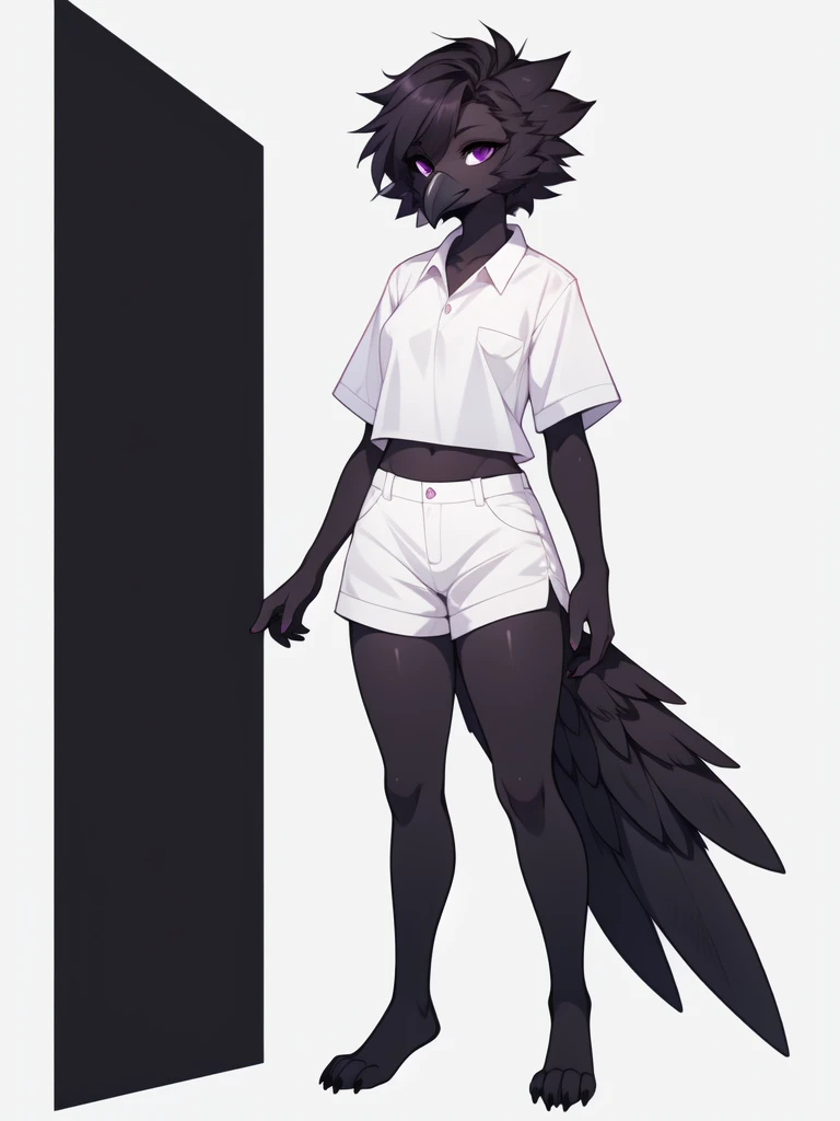 By fumiko, by hyattlen, by claweddrip, flat colors, an Anthropomorphic avian crow girl, female, small grey beak, tall and slender, small crow tail, black body, standing, white background, purple eyes, hands with five fingers, wearing white shirt, white short shorts, full body shot, 4 toes