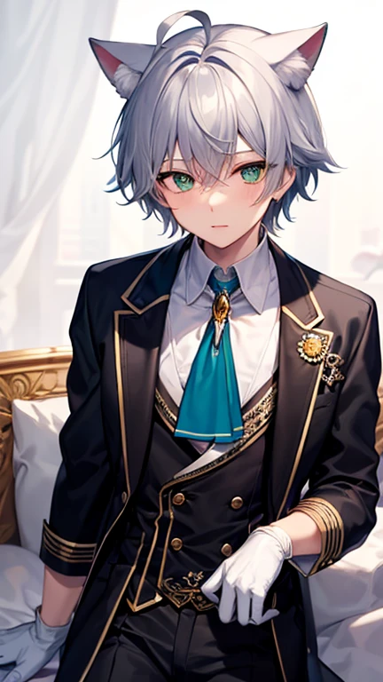 Cat Boy, Cat ear, Cat's Tail, cat's eyes, silk Have,
One boy, Emerald green eyes, Silver Hair, Gray Hair, Striped Hair, gloves, top Have, white gloves, Blue hat, Ahoge, black gloves, Long sleeve, Ascot, jewelry, brooch, Black Hat, Frills, Gray Hair, Striped Hair, gloves, Have, white gloves, Blue hat, Ahoge, black gloves, Long sleeve, Ascot, jewelry, brooch, Black Hat, Frills, One boy