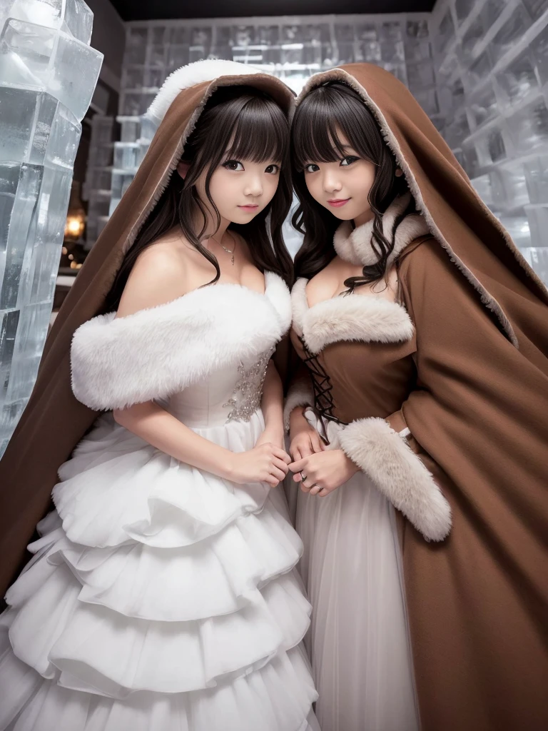 fluffyの毛皮。fluffy。(((Pair of women、ice hotel、Dark Room)))。Wedding dressを着た女性たちの写真。Wedding dress、Brown fur cape。Fisheye Lens。Multiple women。