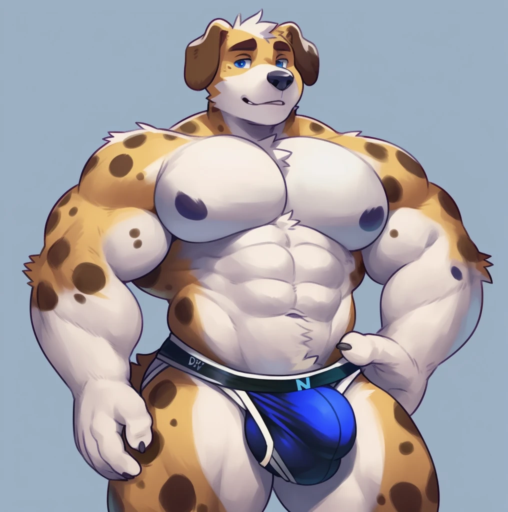 Solo, male (((domestic dog, blue eyes, blue iris, black pupils, muscular, big pecs, abs, folded ears, white body, white fur, brown ears, mostly brown ears, brown spots on legs, black jockstrap, big bulge))) standing, flustered expression, full body, perfect anatomy, by darkgem, by mystikfox61, by glitter boy