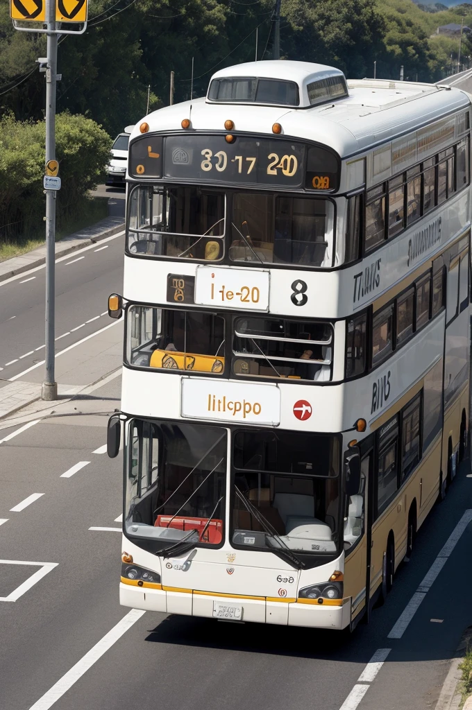 Create an image that features a bus on a road with fans in the window holding black and white flags, on the side of the road a sign written BR 230 and Aflitos with arrows indicating the direction