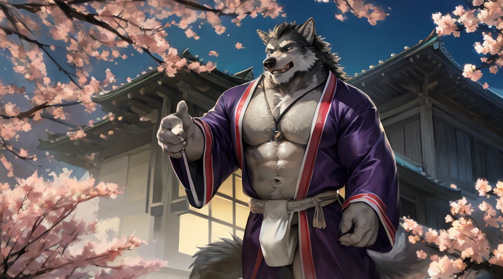 masterpiece,best quality, from high angle,kemono, anthro (wolf), male, (wolf), beard,middle-aged, gray body,white belly,muscular,japanese traditional clothes, white (fundoshi),((open) black formal kimono),,japanese building,look up to the sky,majestic,brutal,confident,strong,cherry blossoms, sakura blossoms leaves, outdoors, dynamic angle,depth of field,delicate canine tooth,correct ???????, correct hand,,hd, dim ,dark,dark shadows, light against dark,cinematic, dramatic light,wide dynamic range, hdr, low light:1.2, by Pino Daeni, (by ruaidri), by virtyalfobo