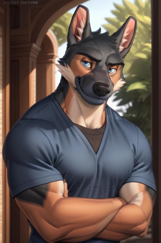 barlitz, blue eyes, black fur, muscular male, (pose:1.3), (soft shading), 4k, hi res, ((detailed face, detailed)), by zackarry911, by zaush, (by personalami:0.5), portrait, upper body, face focus, smile, looking at viewer, shirt,