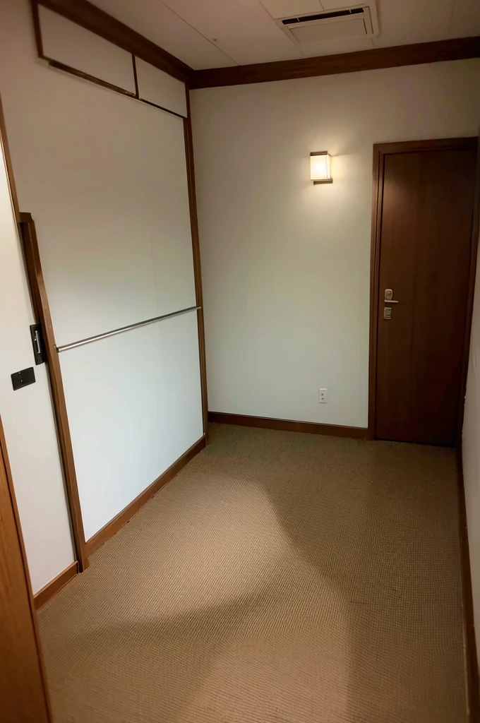 An old apartment building in downtown Tokyo。In one of the corners、There are a few vacant rooms、Among them, there was one room that was rumored to be particularly haunted.。The newcomer to this room is、It was Yuka, a young office lady.。She didn't know about the rumor.、I decided to rent this room because of the low price.。
