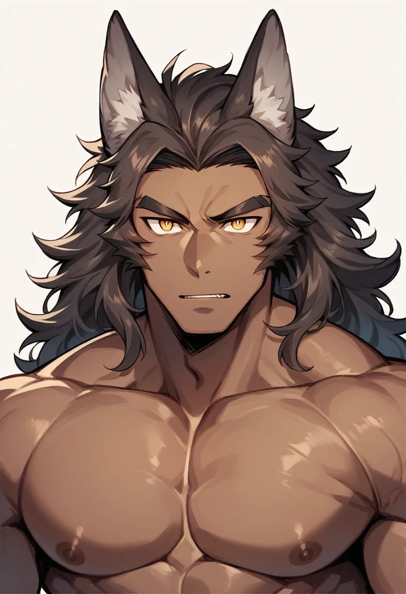 A male with tan skin, muscular, long dark brown wavy hair, golden eyes with vertical pupil, wolf ears
