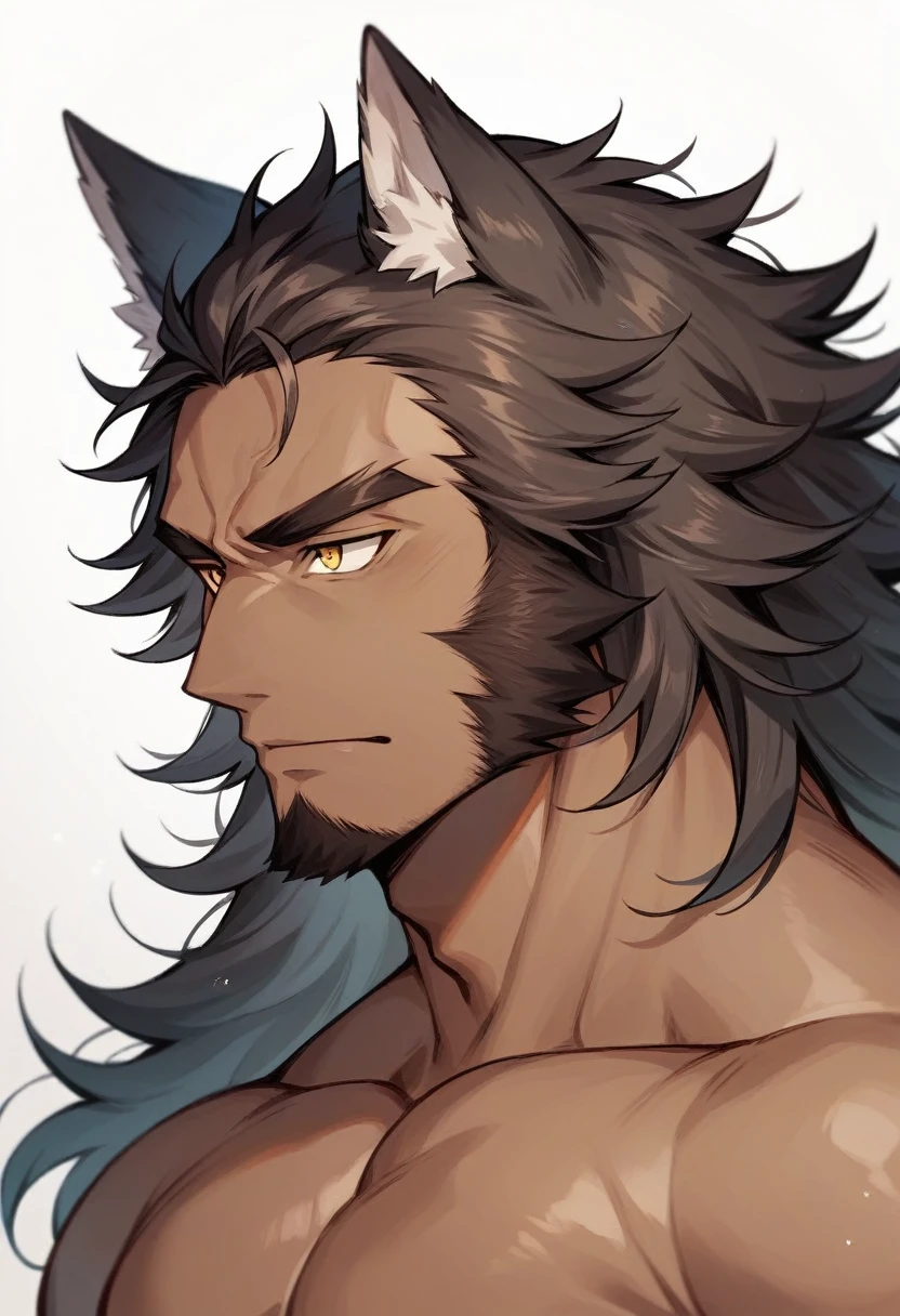A male with tan skin, muscular, long dark brown wavy hair, golden eyes with vertical pupil, wolf ears, no side burns, no beard