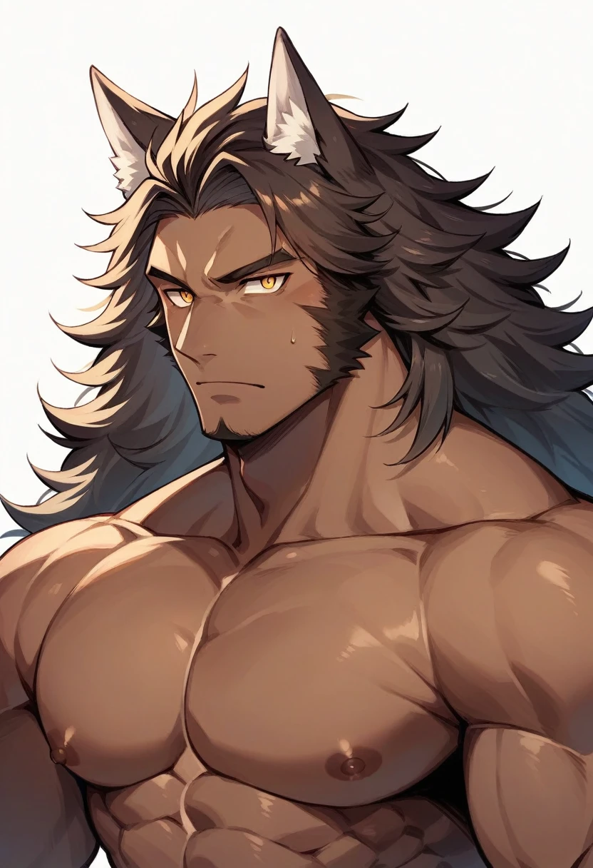 A male with tan skin, muscular, long dark brown wavy hair, golden eyes with vertical pupil, wolf ears, no side burns, no beard