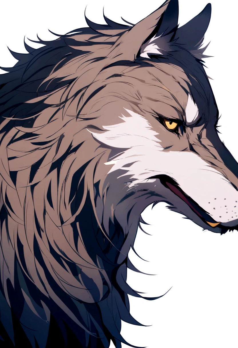 Big bad wolf head side view, gueule ouverte , white background